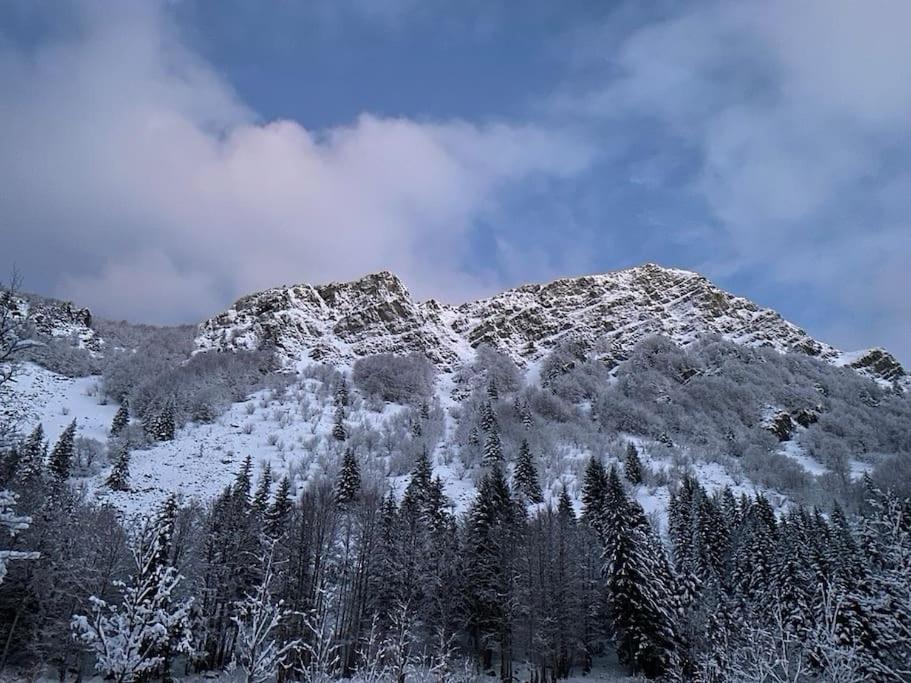 La Casetta Sulla Neve 아베토네 외부 사진