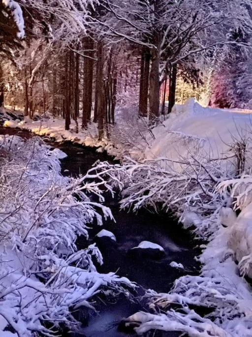 La Casetta Sulla Neve 아베토네 외부 사진
